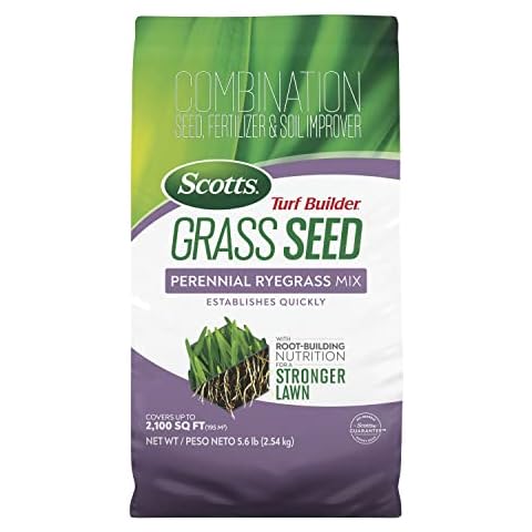 Scotts Turf Builder Perennial Ryegrass Mix Cover