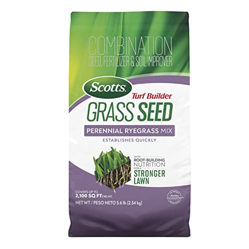 Scotts Turf Builder Grass Seed Perennial Ryegrass Mix with Fertilizer and Soil Improver, Establishes...
