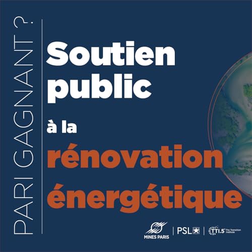 Soutien public &agrave; la r&eacute;novation &eacute;nerg&eacute;tique : un pari gagnant ?