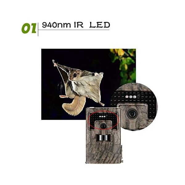 Lwieui Wildkamera 120 ° Breiter Linse Wildlife Jagdkamera 12MP HD Digital Infrarot Scouting Trail Camera für das… – Bild 3
