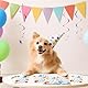 Hegbolke 100Pcs Hund Druck Papier Servietten 13x13 inch Bunte Welpe Hund Party Dekorationen