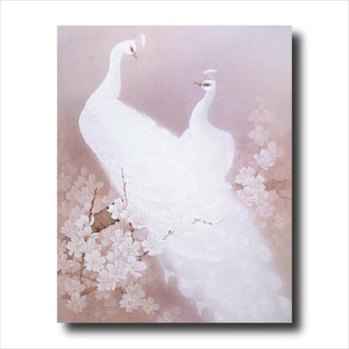 Peacocks Exotic Birds and Flower Animal Wildlife Wall Picture 16x20 Art Print