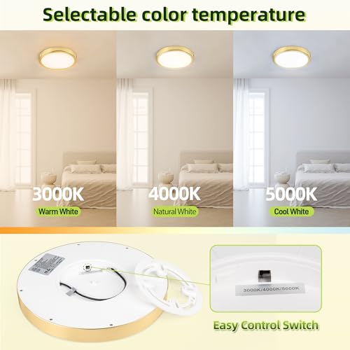 Image of hykolity 9 Inch Selectable CCT LED Round Flat Panel Light,18W,1800LM,3CCT
