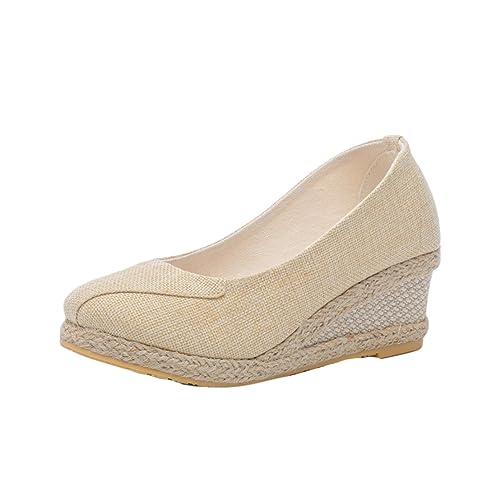 [Z_ `V] _炩 pvX EhgD x[W 5cm EFbW\[ fB[X ʋ 23.5cm 킢 n t  H  r W[g  tH[}  h Ȃ  o y OL [t@[