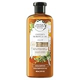 Herbal Essences Biorenew Golden Moringa Oil Smooth Shampoo, 13.5 FL OZ (Pack of 6)