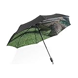 Ultraleichte Rippe, Skelett aus Aluminiumknochen und Glasfaser, leicht und stark.