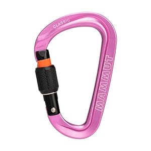 Mammut Classic HMS Screwgate Karabiner Pink