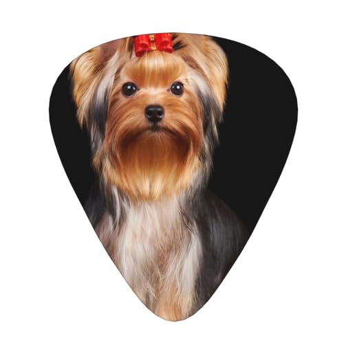 6pbN M^[sbN GNgbN&x[Xp ? lXȌ (0.46mm/0.71mm/0.96mm) |[^u SҌ (uE hbO [NV[eA bh [L[ 炵 q)