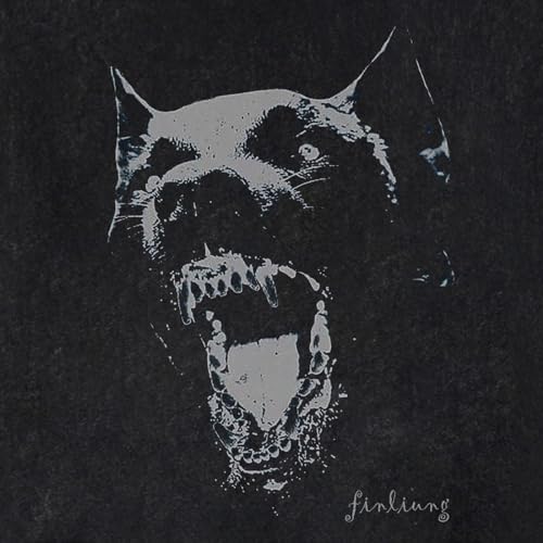 Aelfric Eden Oversized Tees Graphic Dog Print Tshirt Washed Cotton Short Sleeve Summer Streetwear Vintage Unisex Tops3