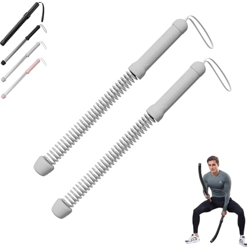 DZANNC ロープレスバトルロープ 筋トレグッズ【静音設計＆コンパクト】自宅トレーニング用 コードレスバトルロープ 高耐久スチール構造 全身運動 筋力/体幹トレーニング対応 男女兼用 ホームジム フィットネス器具