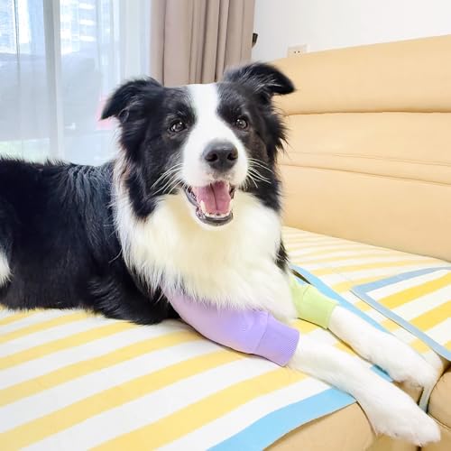 Image of Dog Elbow Pads Knee Protector Wraps Elbow Callus Treatment Sleeve for Wounds Front Legs Stop Licking Medium Large Dogs 2XL, Purple