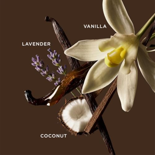Image of BELLAVITA Vanilluxe | Long Lasting | 20ml | Perfume for Man |Unisex Perfume | Cedarwood, Jasmine | Musky, Floral, Vanilla Premium Fragrance
