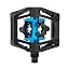 Black / Blue