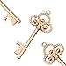 50pcs Vintage Skeleton Key Bottle Openers Beer Partners Place Card Keys Wedding Party Favor For Anniversary Graduation Party (Rose Gold)