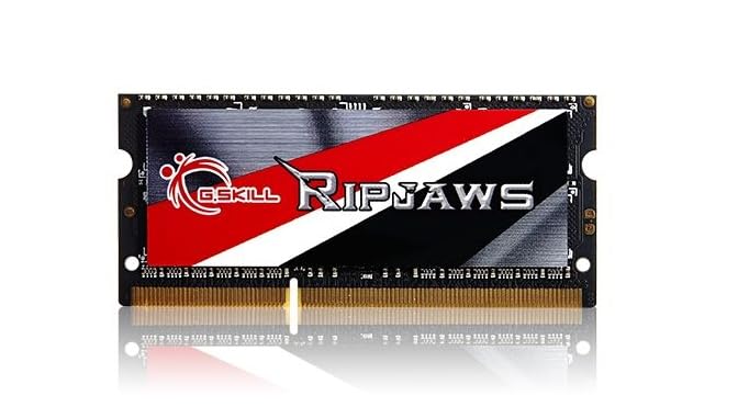 G.Skill Ripjaws Series 8GB 204-Pin DDR3 SO-DIMM DDR3 1600