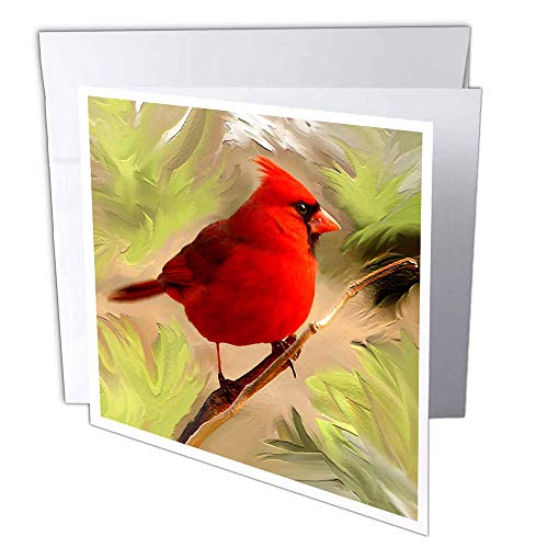 Carte de voeux Rouge cardinal lot de 6 papeterie 3drose GC 4442