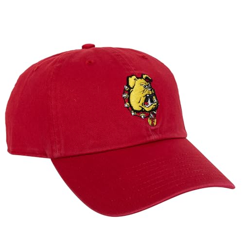 Desert Cactus Ferris State University Baseball Hat FSU Bulldogs Cap Adjustable Adult Team Color (Design 1) Red
