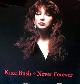 Paperback Kate Bush: Never Forever Book