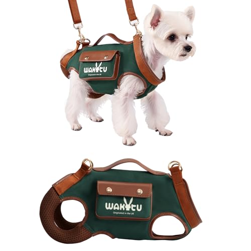 Wakytu Hundegeschirr, verstellbare Hundeleine mit kleiner Leckerli-Tasche für Welpen, Grün, Größe S
