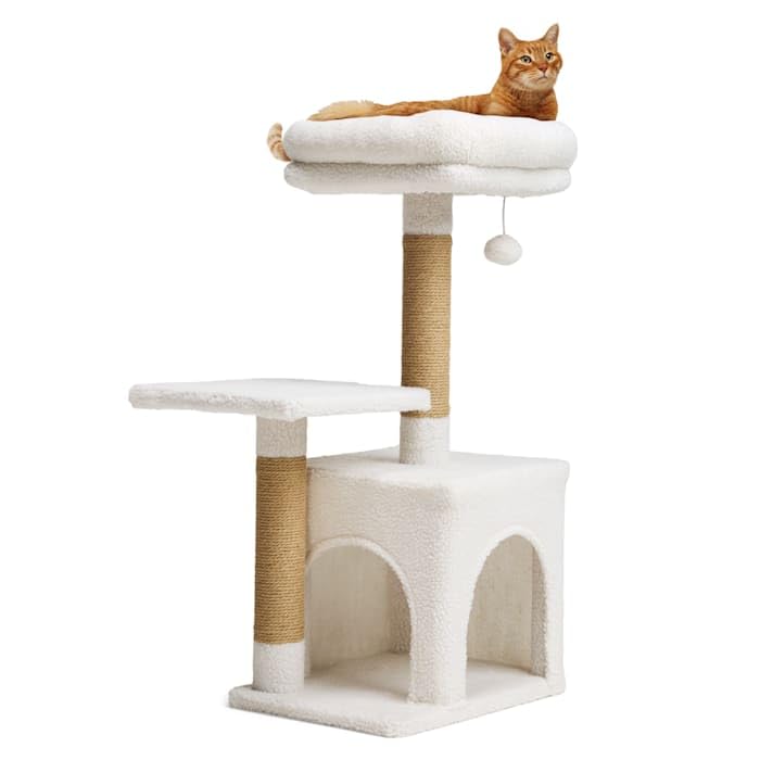 Árbol para gato de dos niveles EveryYay 81 cm alto miniatura 1