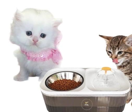 Cat Fountain Water Super Quiet Pet Water Automatic Drinking Water Dispenser with 1 Replacement Filters 1 Stainless Steel Bowl 1 Smart Pump for Feeding Cats (2024 Edition)-(Ivory White) (B0CWVSQW76) Amazon Price History, Amazon Price Tracker