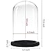 MyGift The Bell Jar Glass Cloche with Black Wood Base, 10 Inch Tall Clear Decorative Glass Dome Display for Plants, Curios, Keepsakes, Heirlooms