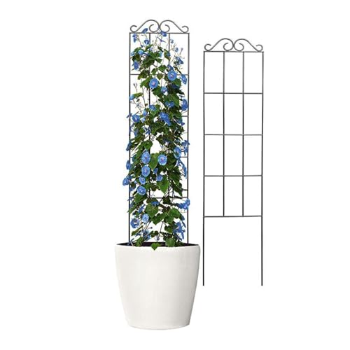 Rejilla para plantas en maceta de hierro apta para flores y verduras de interior 7