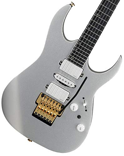 Ibanez RG5170G Silver Flat Chitarra Elettrica Prestige con Case