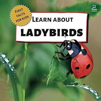Learn About Ladybirds - First Facts for Kids
