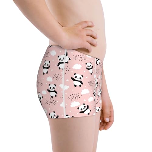 Boys' Cotton Boxer Brief Soft Underwear-Panda Flying In The Sky2