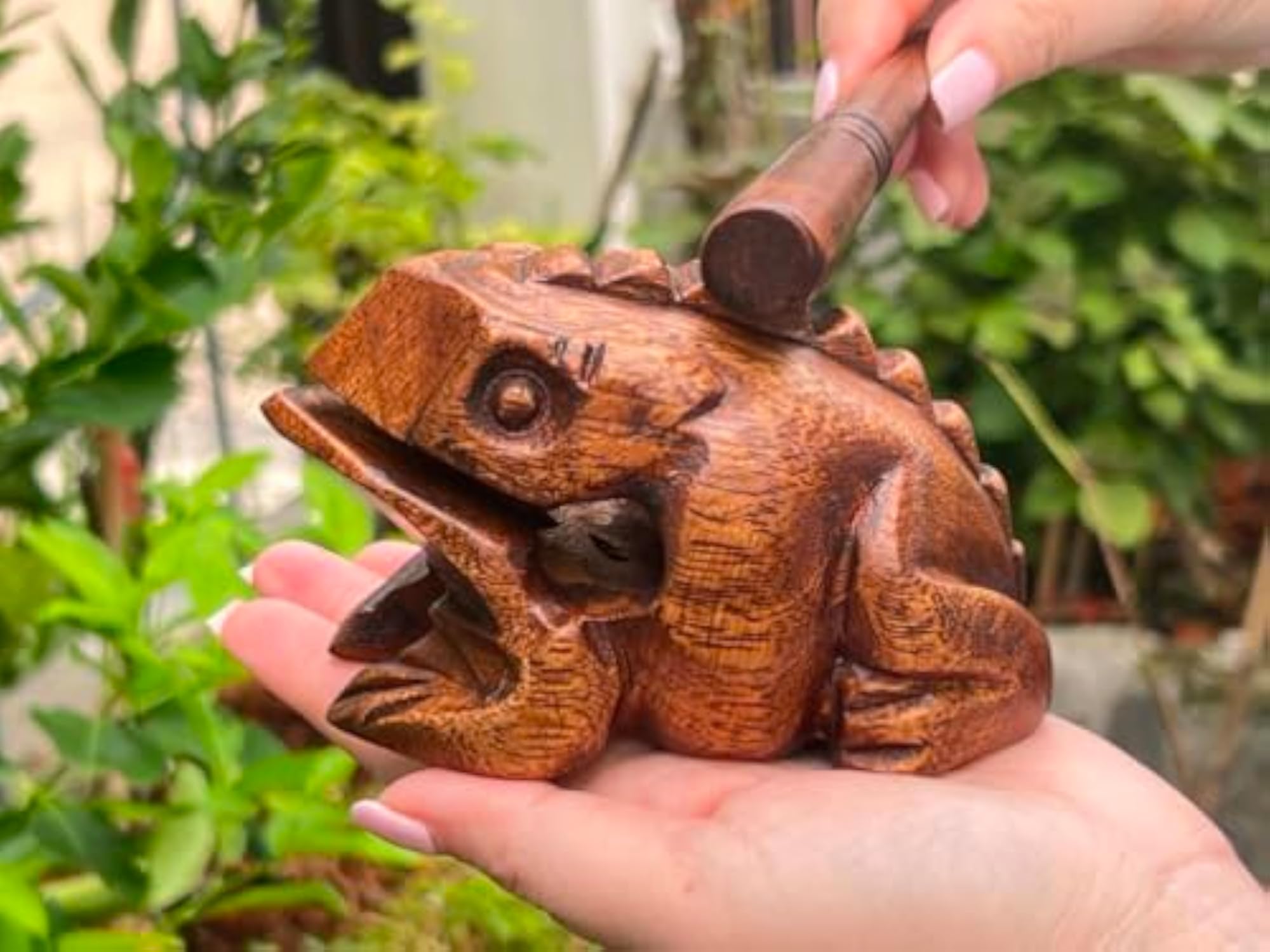 5 Inch Dark Brown Wooden Frog Guiro Instrument