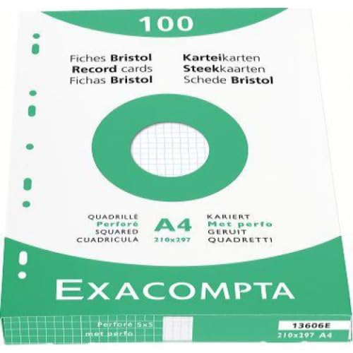 Lot de 10 Etui de 100 fiches Bristol blanc 210x297 quadrillé 5x5 perforées
