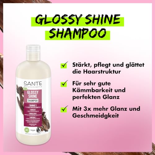 SANTE Naturkosmetik Glossy Shine Shampoo Bio-Birkenblattextrakt + 3-Fach Protein Komplex, vegane und feuchtigkeitsspendende Haarpflege für mehr Glanz und Geschmeidigkeit, mit zartem Kokosduft, 500 ml