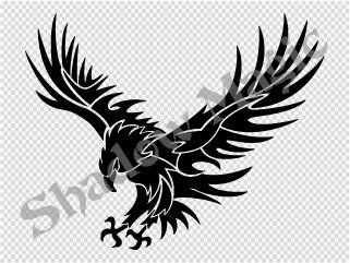 Amazon.co.jp: T・イーグル Type03 ステッカー 白 : 車＆バイク