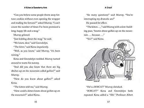 A Kitten in Gooseberry Park - Image 7