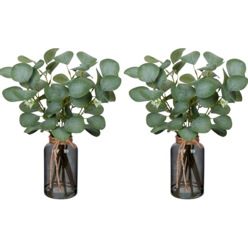 Briful Artificial Eucalyptus Stems in Black Glass Vase with Faux