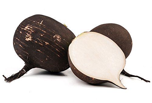 Graines de radis Noir Murzynka - Raphanus Sativus