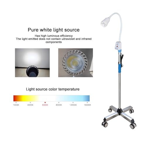 Lampe d'éclairage dentaire-oral à LED 7W avec col de cygne flexible et base à roues mobile - 5