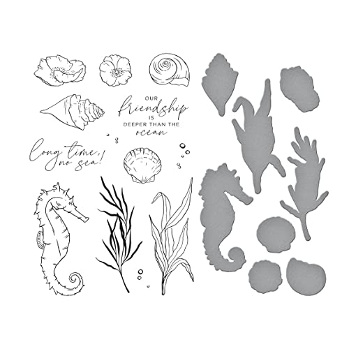 Spellbinders Garden Stamp & Die Set from The Seahorse Kisses Collection by Dawn Woleslagle, Metal, ONE - Image 3