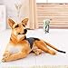 Heguowei Jouet en Peluche géant pour Chien Animaux en Peluche réalistes Chien Allemand Berger Chien Jouets en Peluche Cadeau pour Les Enfants Lying 30cm
