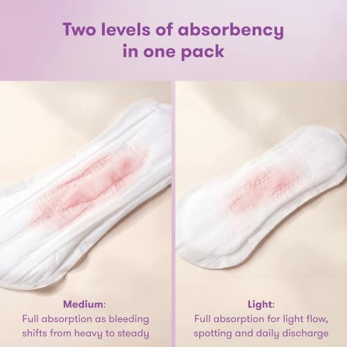 Image of Frida Postpartum Pad MultiPack, Medium + Light Absorbency, 60 Count
