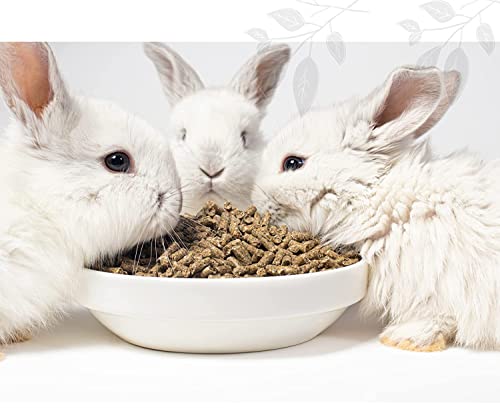 Foodie-Puppies-Rabbit-Food-Dry-Pellets-2-Kg-Highly-Premium-Nutritious-Diet-Suitable-for-All-Type-Rabbit