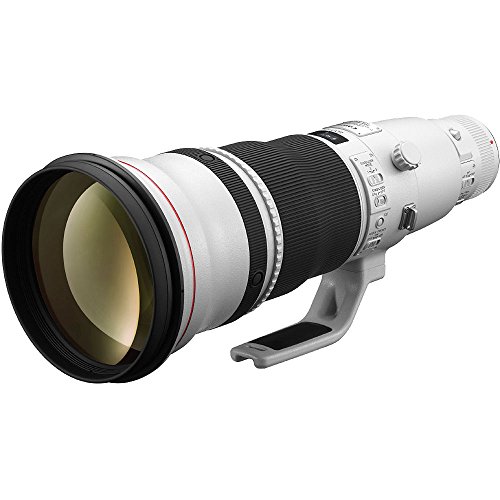 Canon EF 600 mm f/4L is II USM Objectif