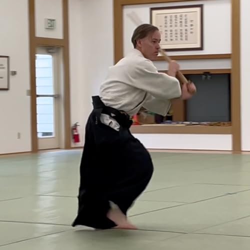 Episode 3: Ki-Aikido Training in Japan