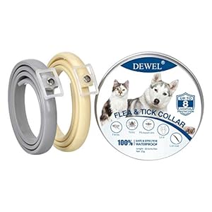 DEWEL 2pcs Collar Antiparasitos Perros/Gatos contra Pulgas,Garrapatas y Mosquitos,Tamaño Ajustable e Impermeable para Mascota Pequeño Mediano Grandes