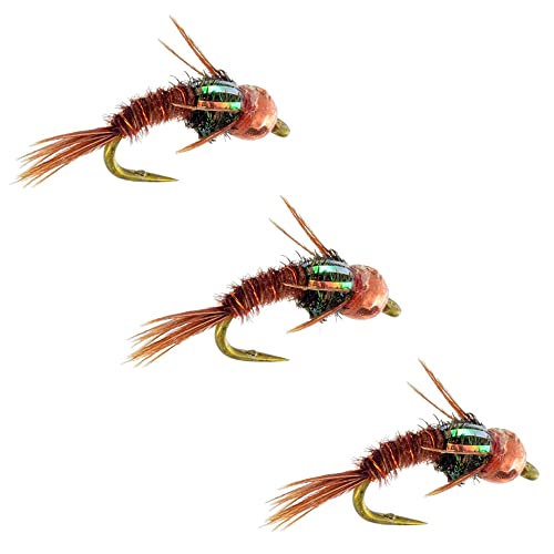 Fly Fishing Flies by Colorado Fly Supply Curved Beadhead
