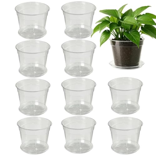Wcybym Macetas de vivero – 10 piezas de suministros de jardín transparentes, macetas pequeñas para guardería al aire libre, para patio, balcón, porche, hogar, oficina, orquídea
