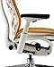 Herman Miller Embody Ergonomic Office Chair | Fully Adjustable Arms and Carpet Casters | Carbon Balance