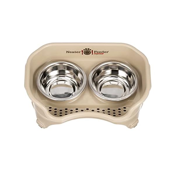 Pet Feeder for Small Dogs