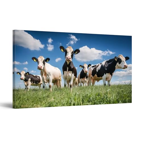 Canvas Wall Art Paintings black white cows green grassy meadow under blue sky amersfoort holland Stretched Framed Artwork Wall Poster for Living Room Bedroom Office Wall Decor Ready to Hang 30x60 Inch